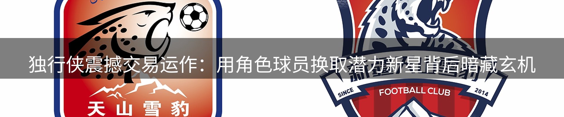 今日资讯